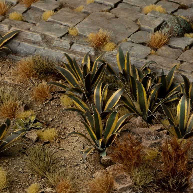 Laser plants - agave