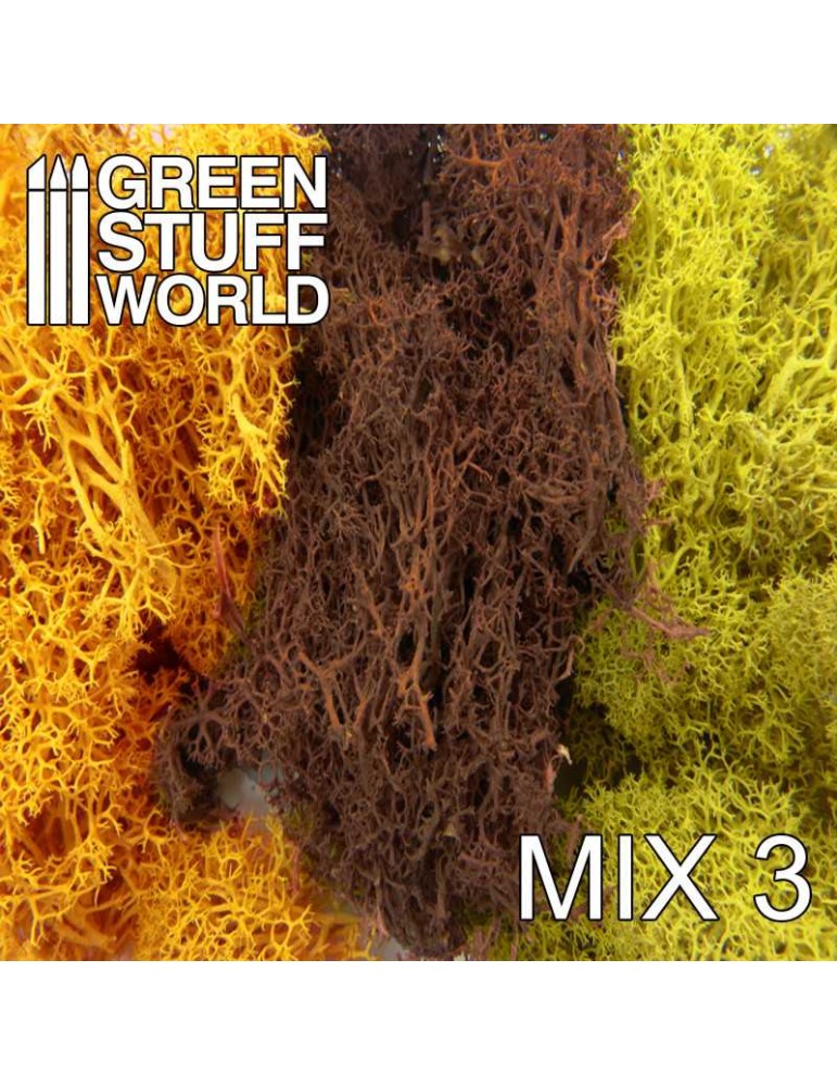 Islandmoss - yellow and brown mix