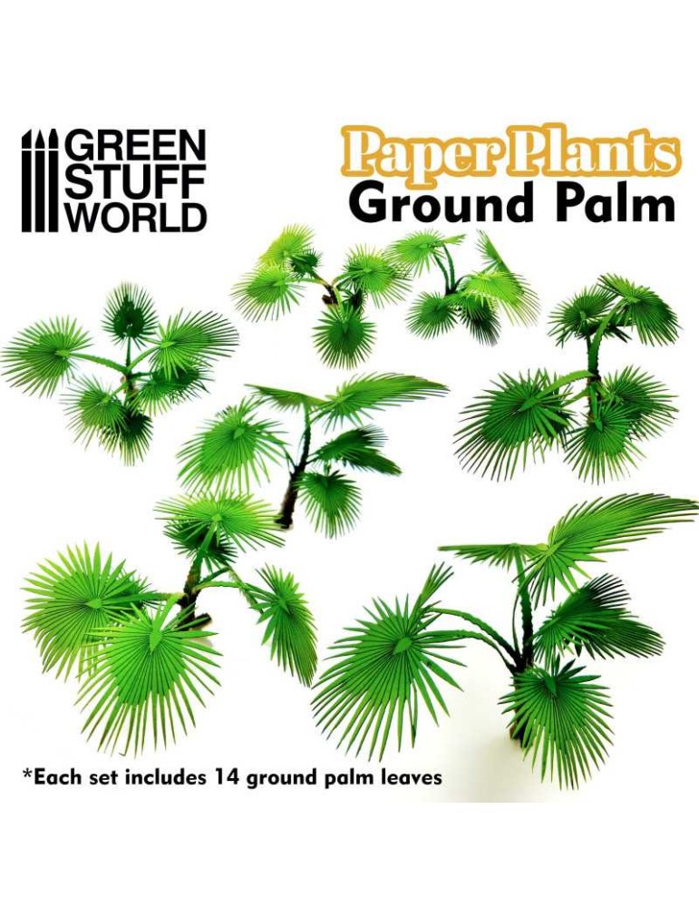 Paper plants - ground palm