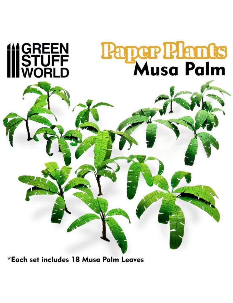 Paper plants - musa trees