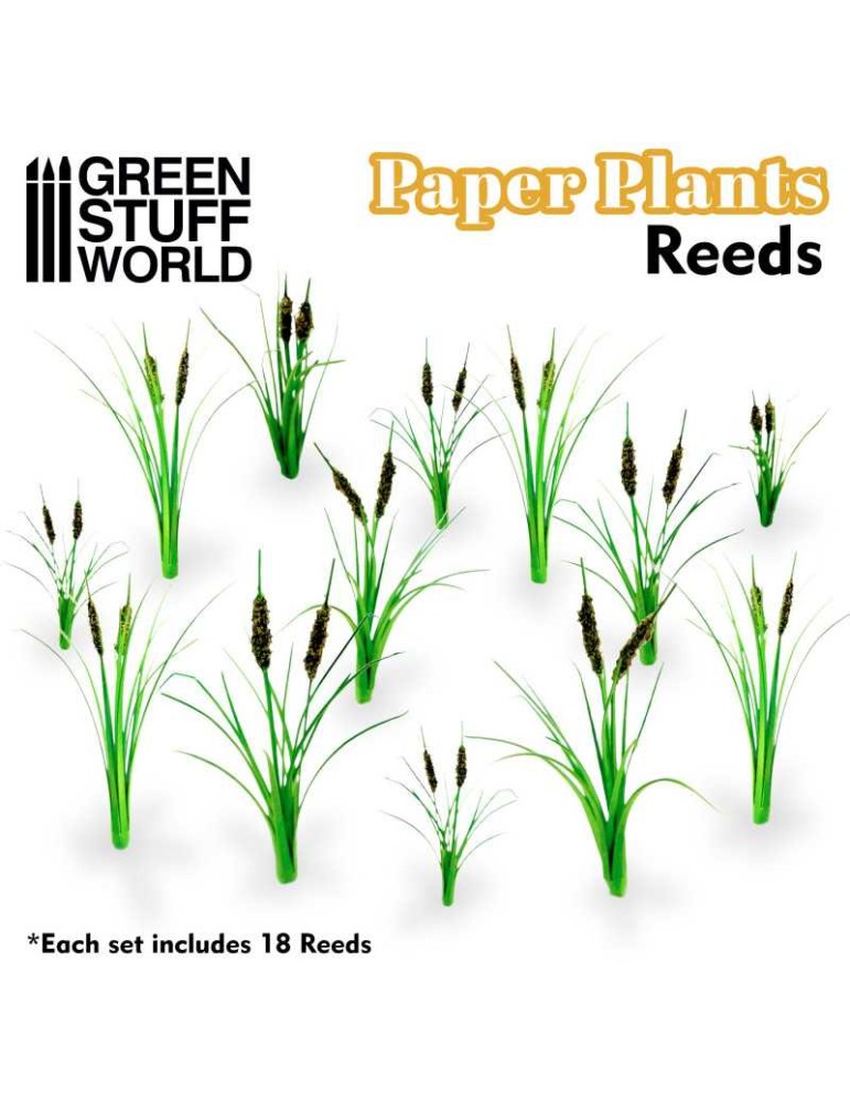 Paper plants - reeds