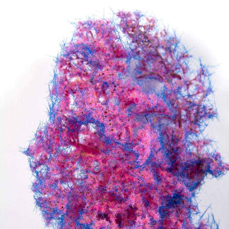 AK BLUE-PINK – FANTASY BUSHES - Bild 3
